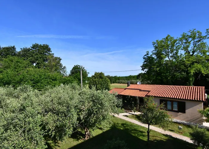 House Ariella